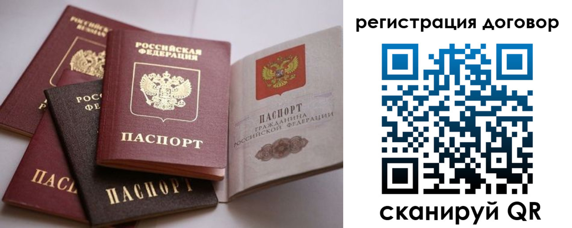 прописка в Новгородской области